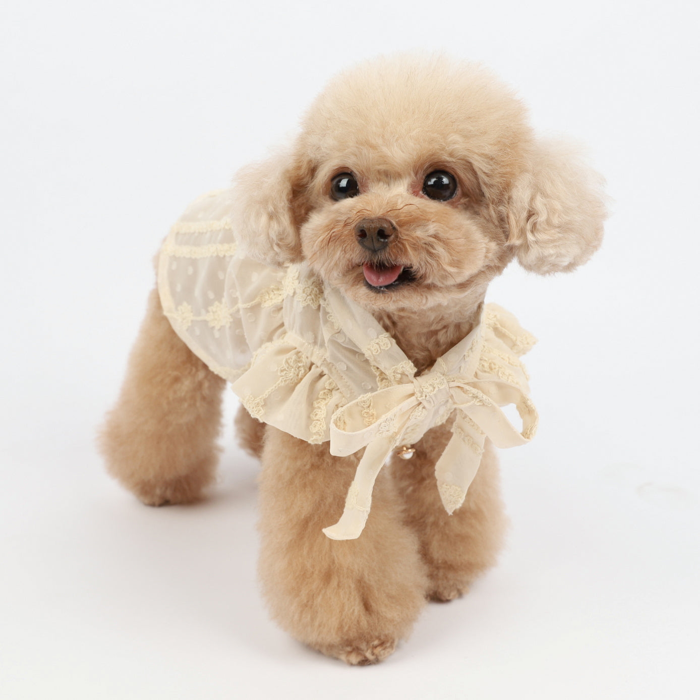 Dog Summer Dress