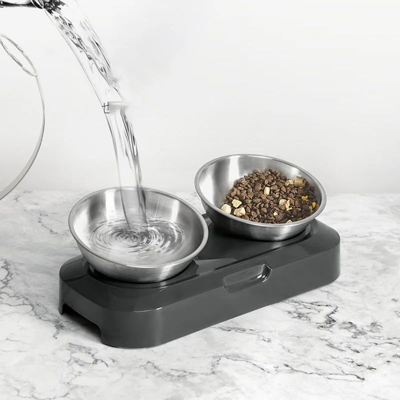 Dog Bowl
