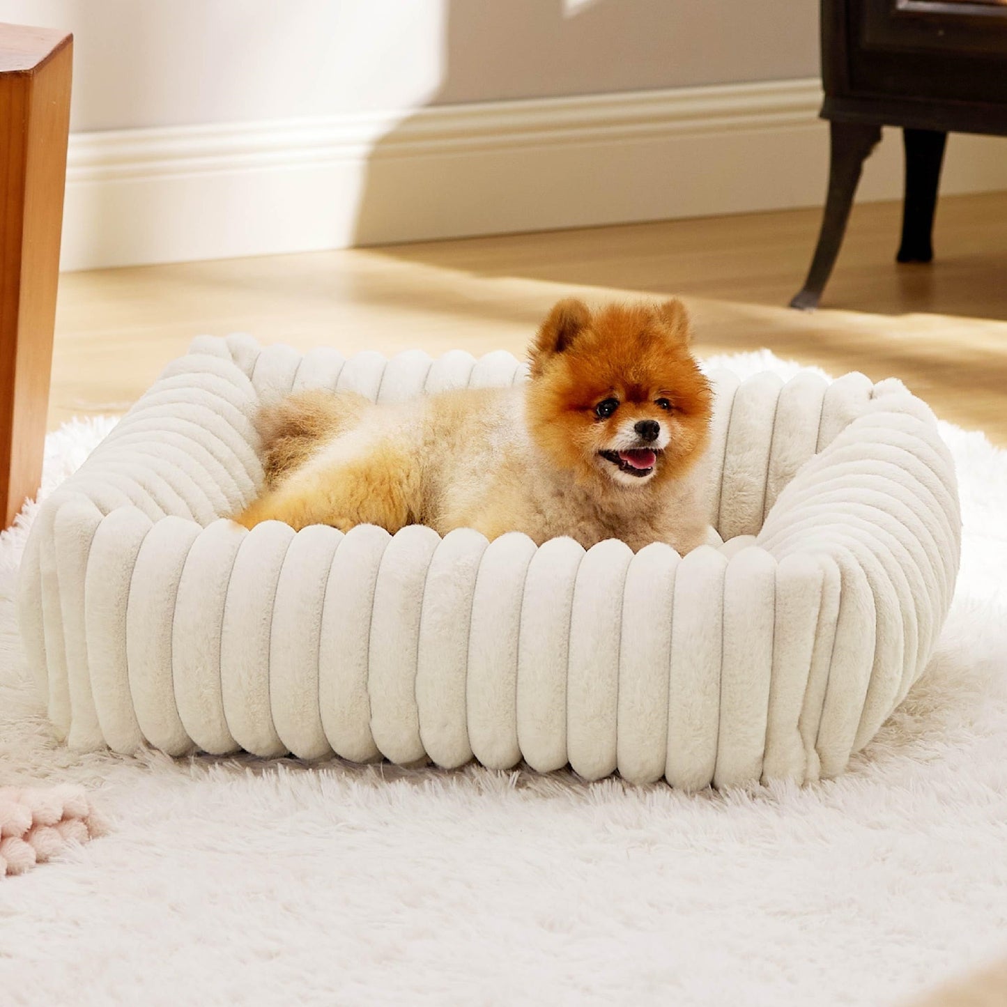 Dog Bed