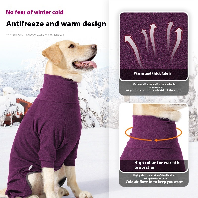 Dog Clothes