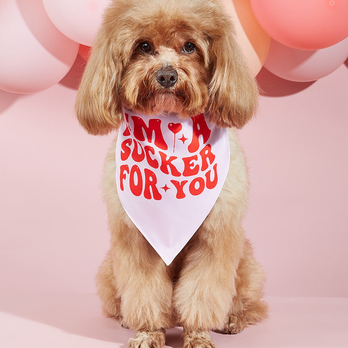 Dog Printing Scarf