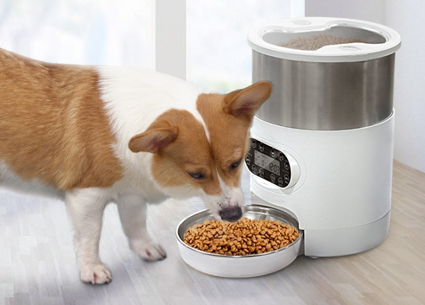 Dog Food Automatic Dispenser