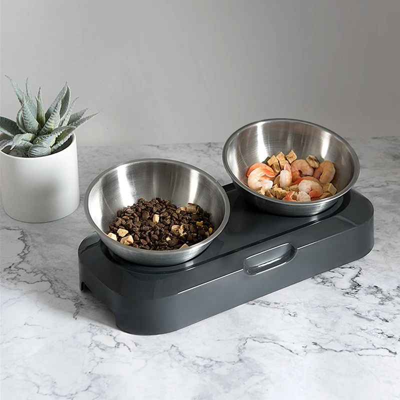 Dog Bowl