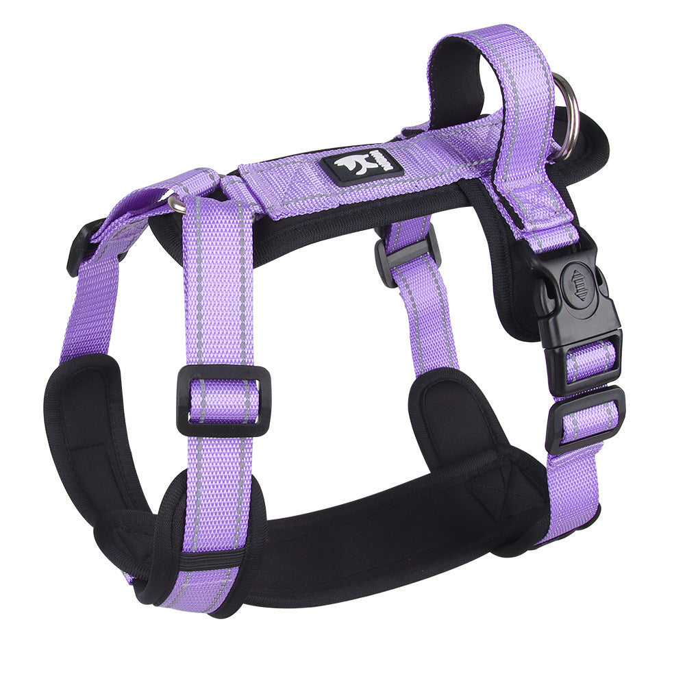 Dog Leash