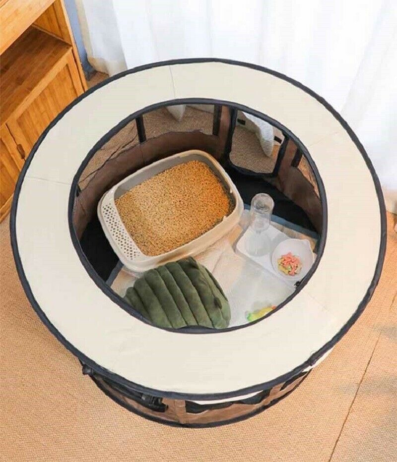Dog House
