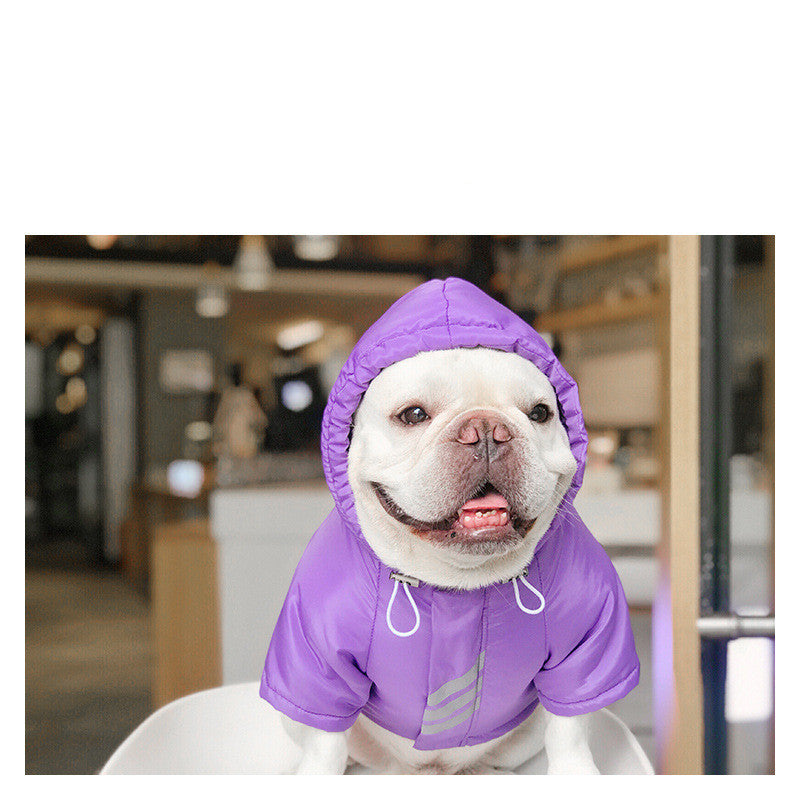 Dog Winter Clothes