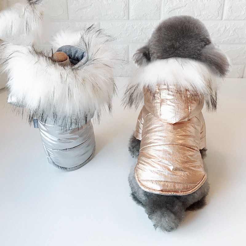Dog Winter Clothes