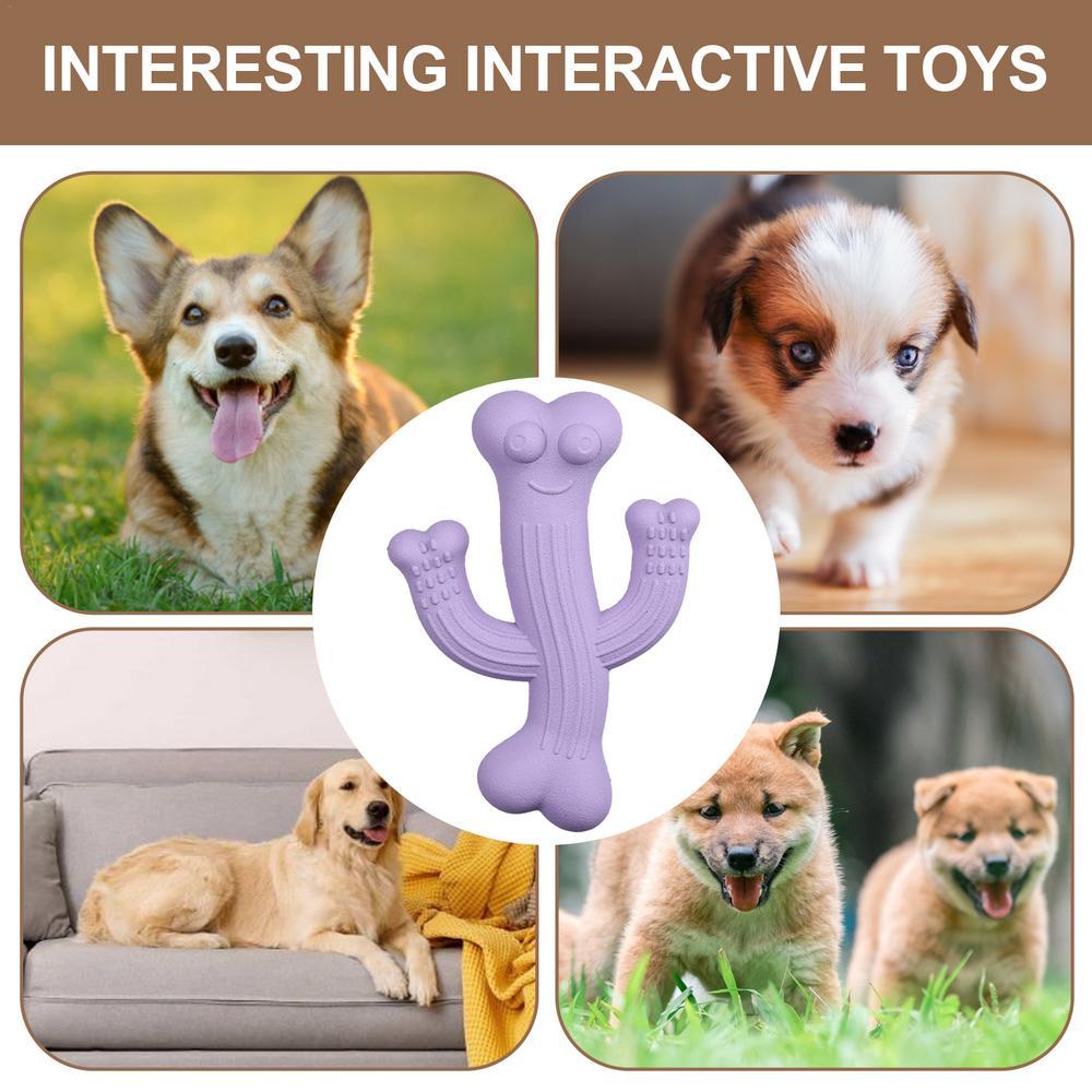 Dog Toy