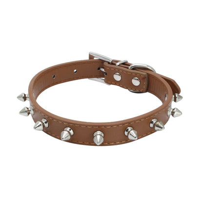 Dog Leash