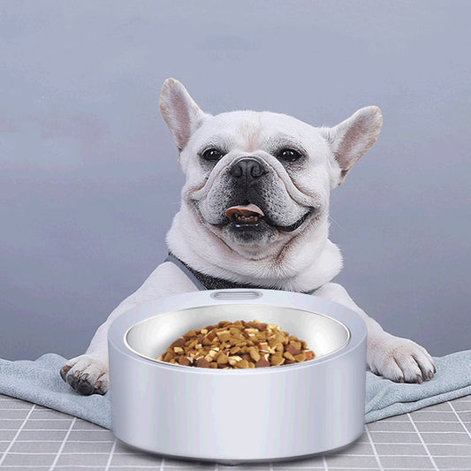 Dog Food Bowl