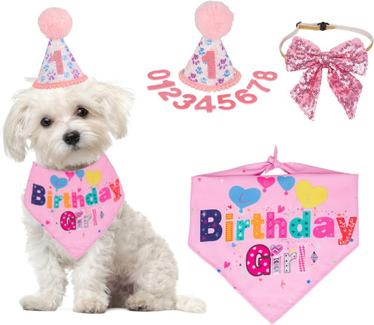 Dog Birthday Party