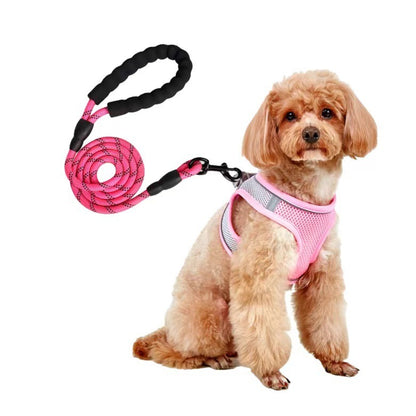 Dog Leash