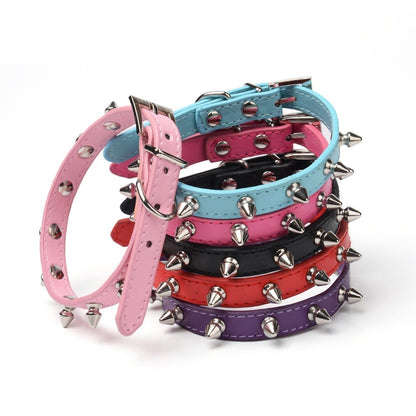 Dog Leash