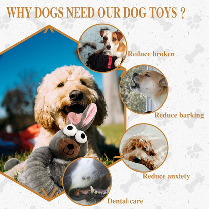 Squeaky Dog Toys
