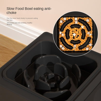 Dog Bowl