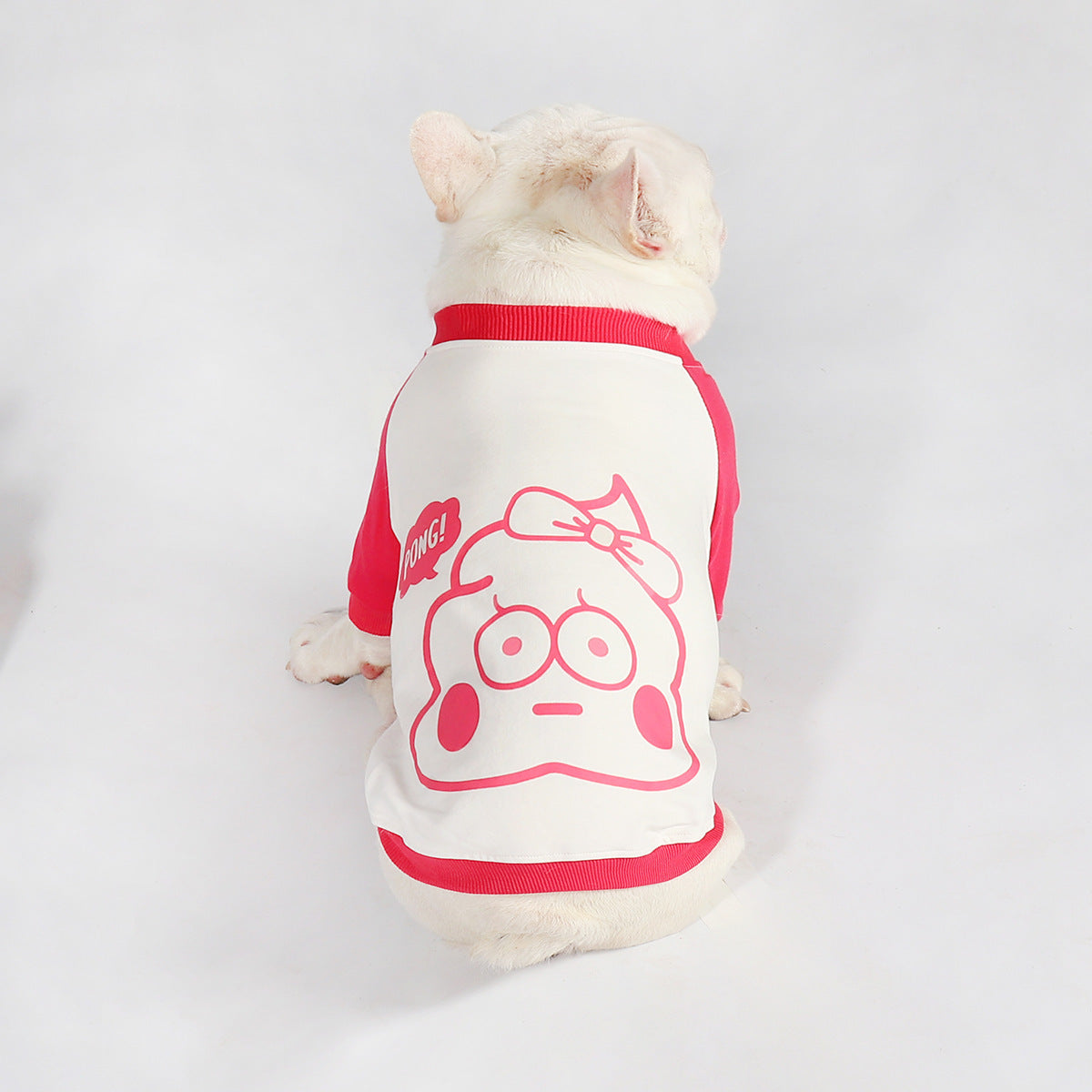 Dog Clothes