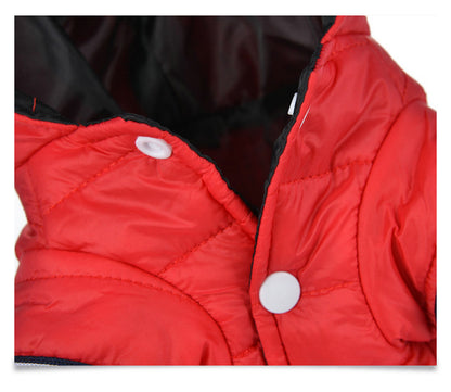 Dog clothes