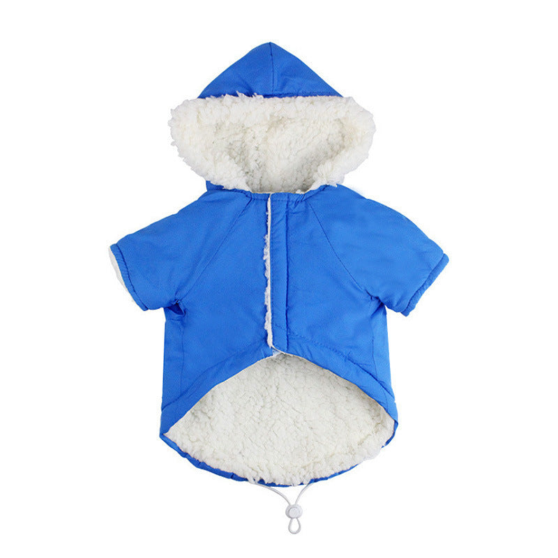 Dog clothes