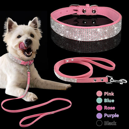 dog collar