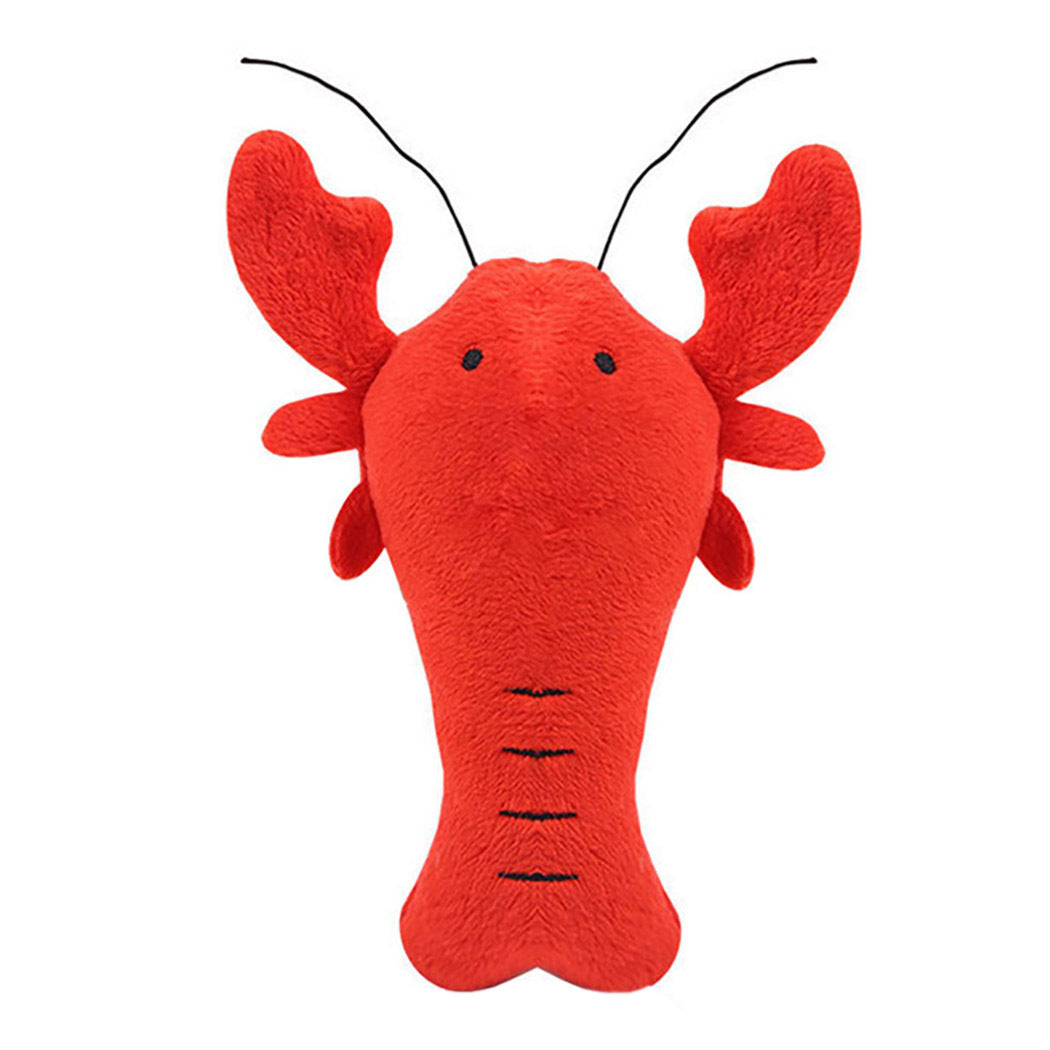 dog toy