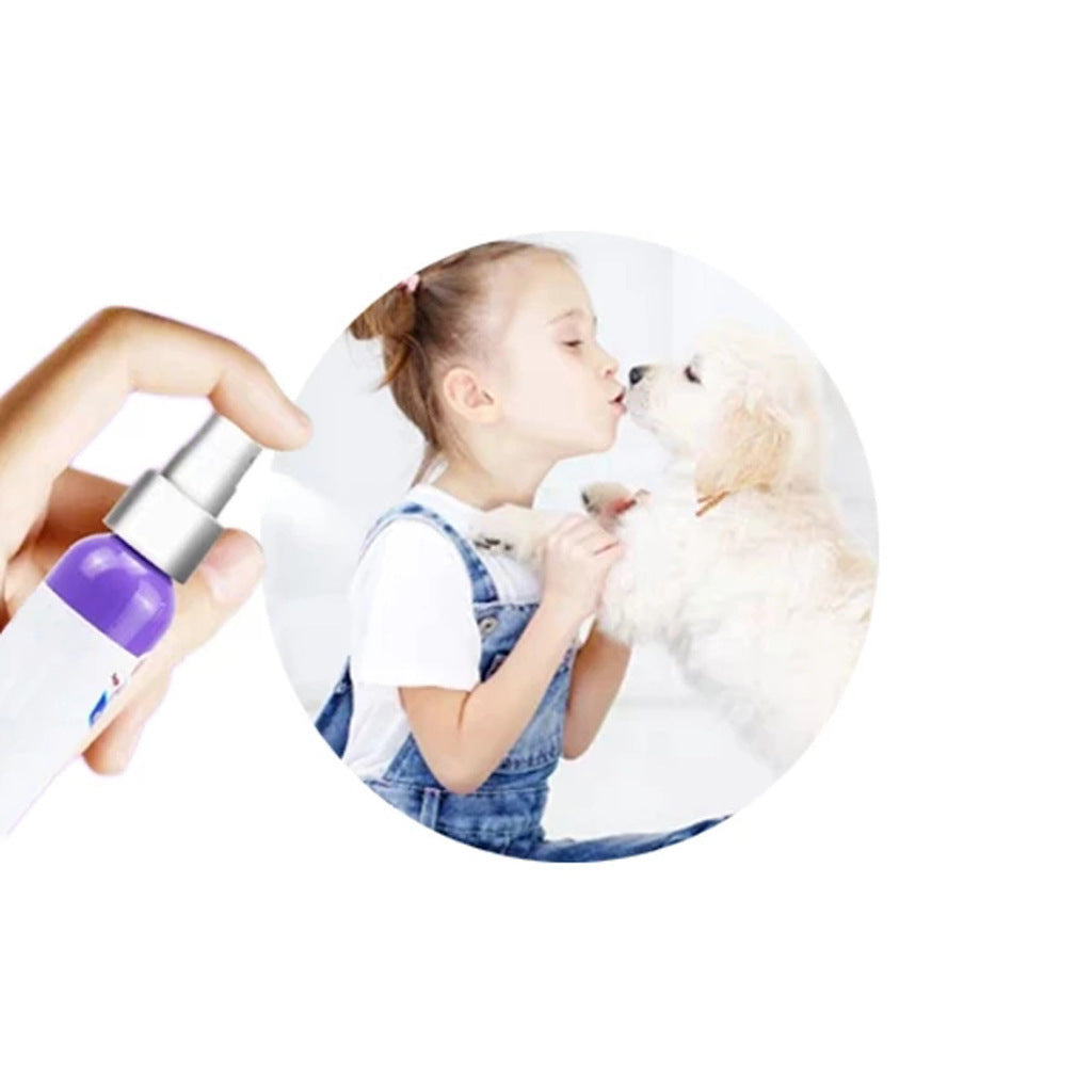 Dog oral deodorant