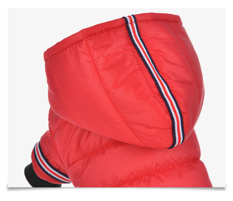 Dog clothes