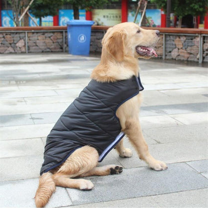Winter Dog Clothes