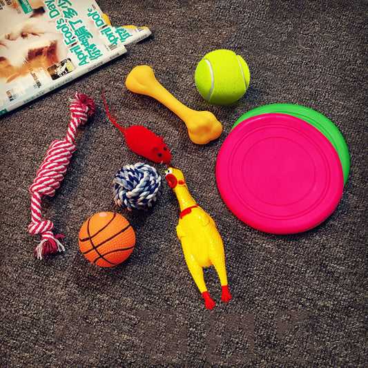 dog toy