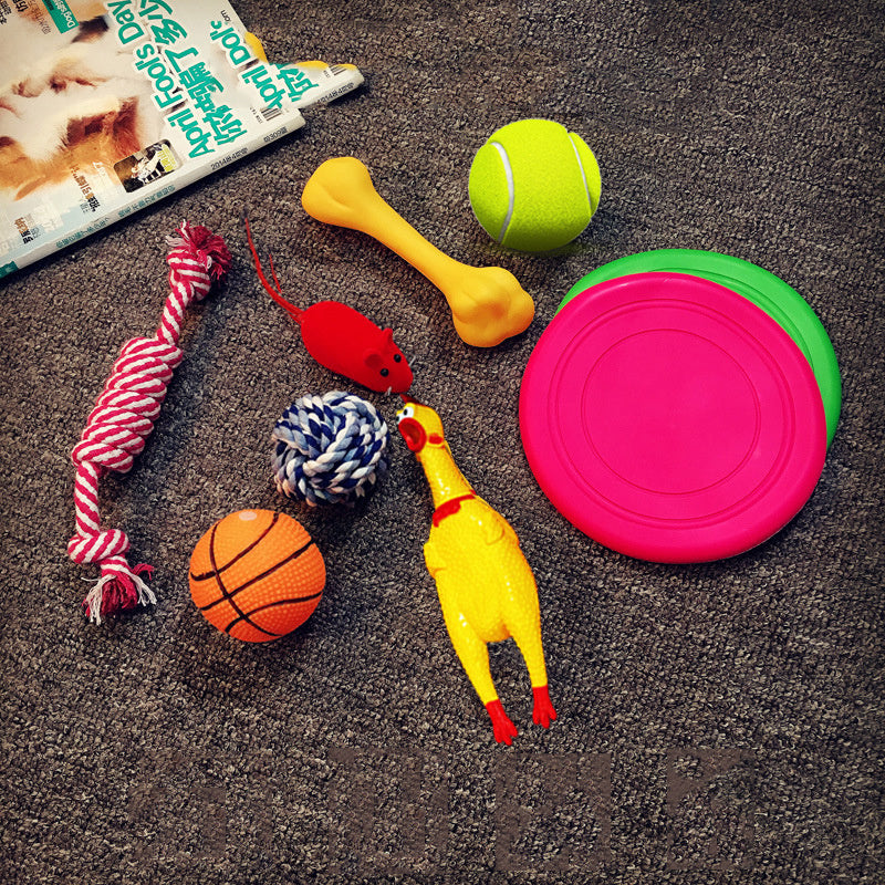 dog toy