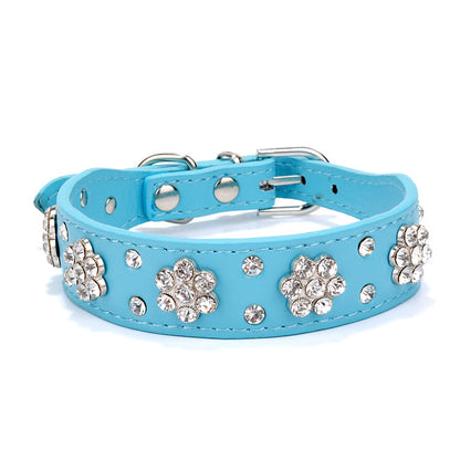 Dog Collar
