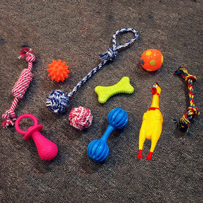 dog toy