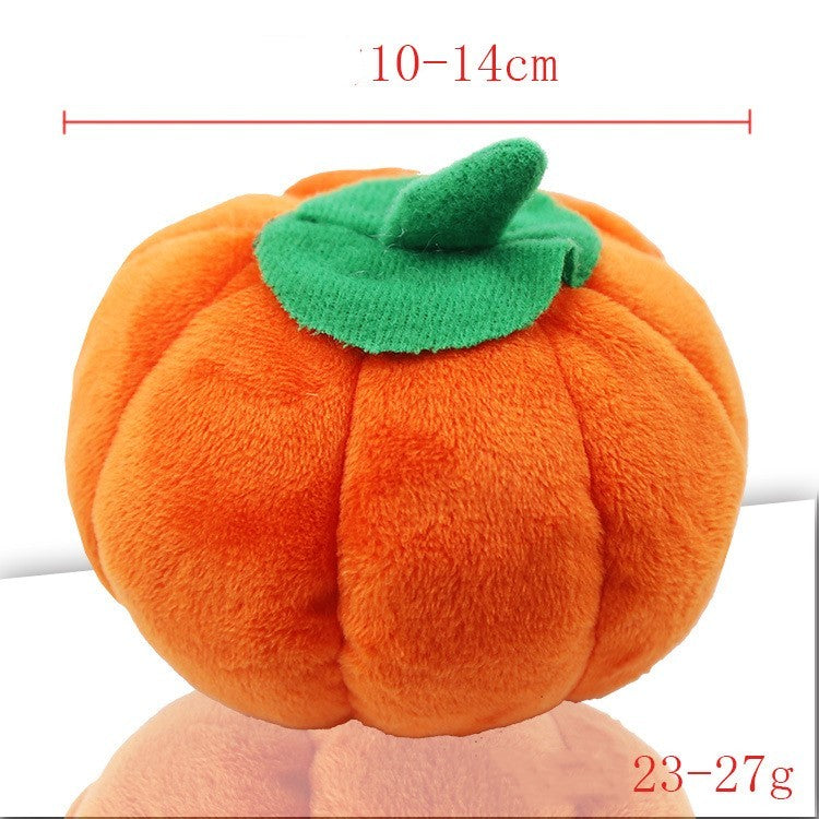 dog toy