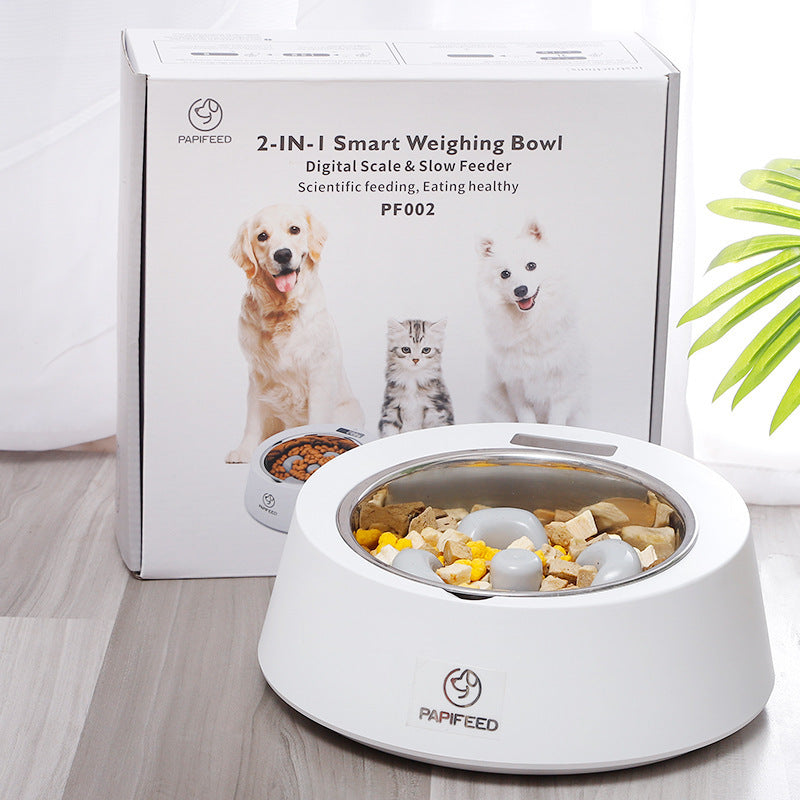 Dog Food Bowl