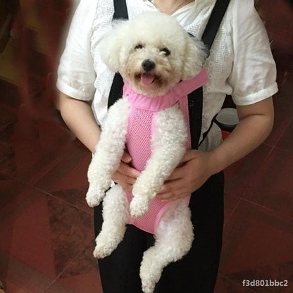 dog travel