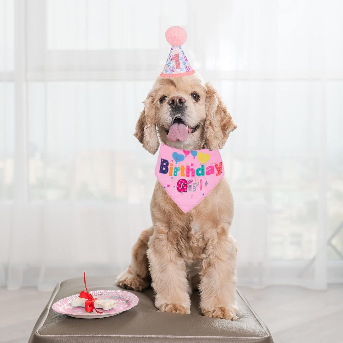 Dog Birthday Party