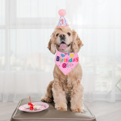 Dog Birthday Party