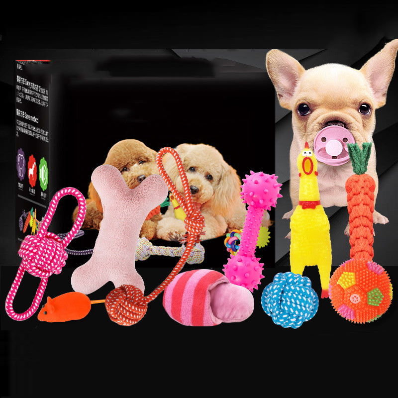 dog toy