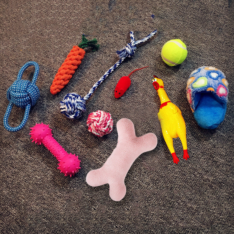 dog toy
