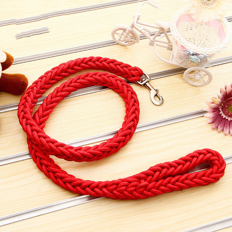 Pet leash with large dog rope