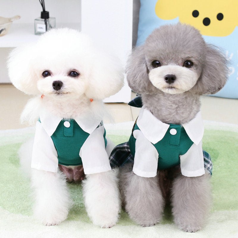 Dog Clothes