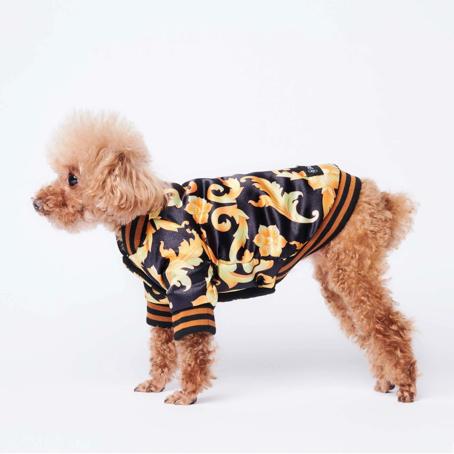 dog coat