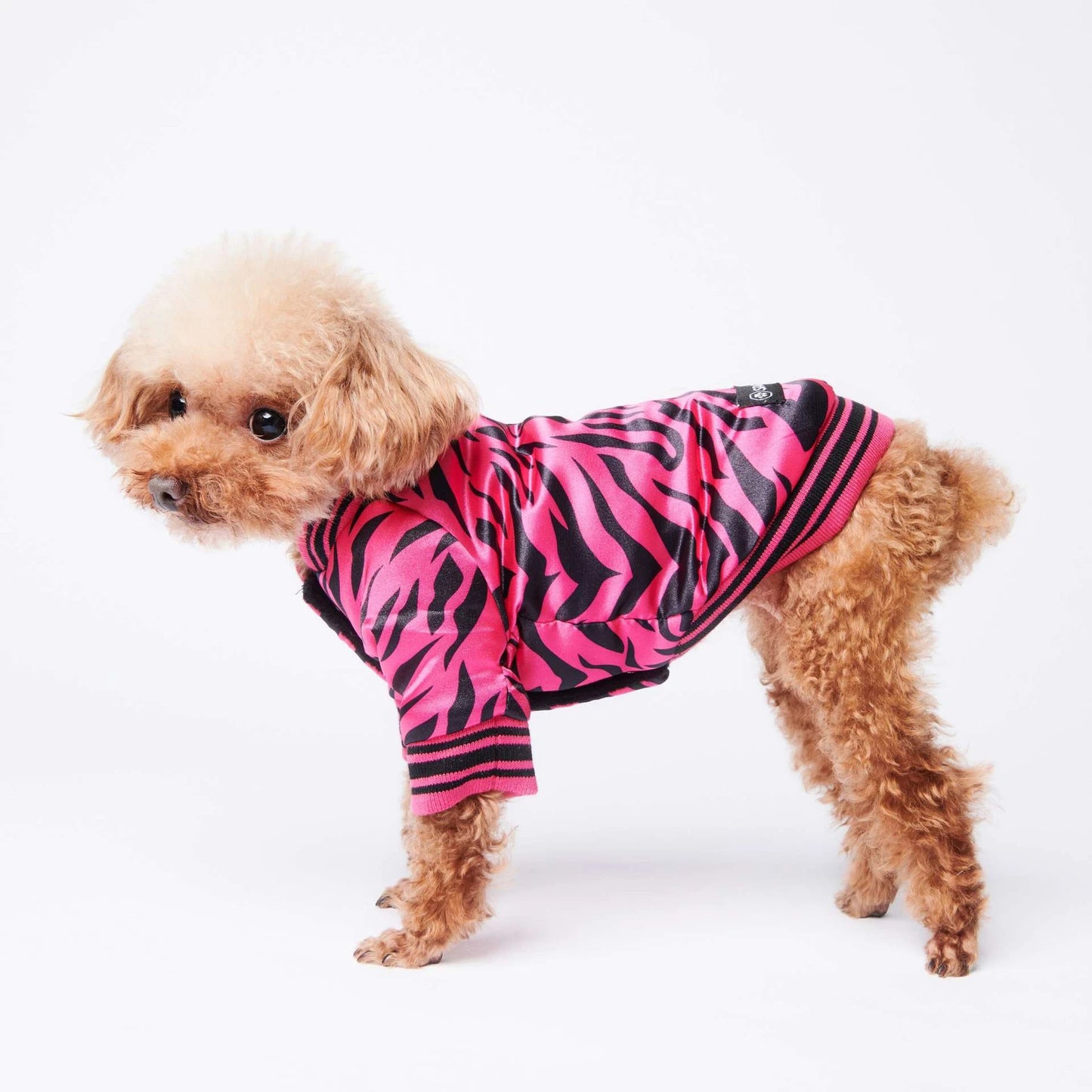 Dog jacket
