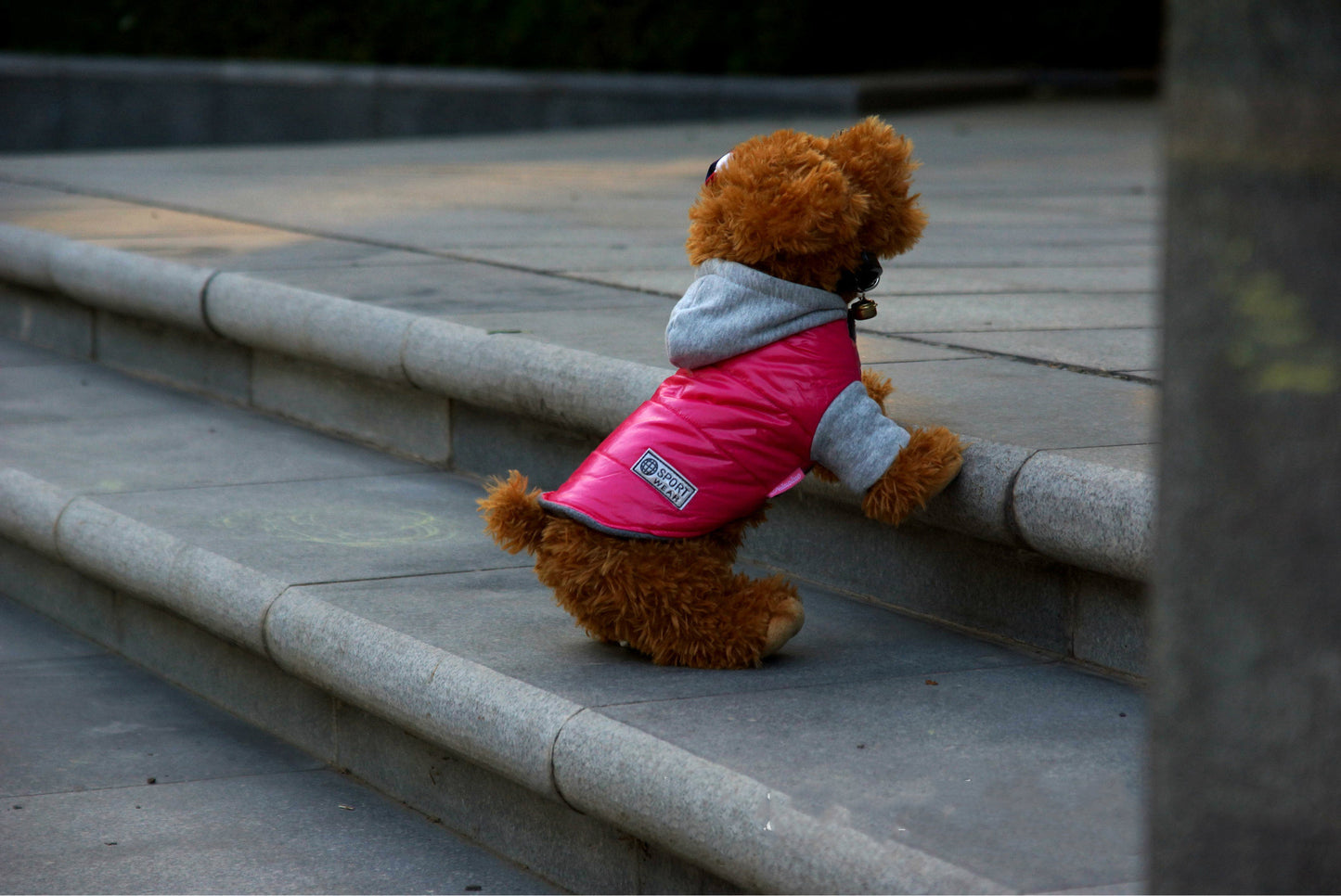 Dog clothes