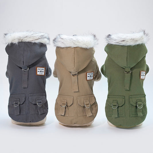 dog coat
