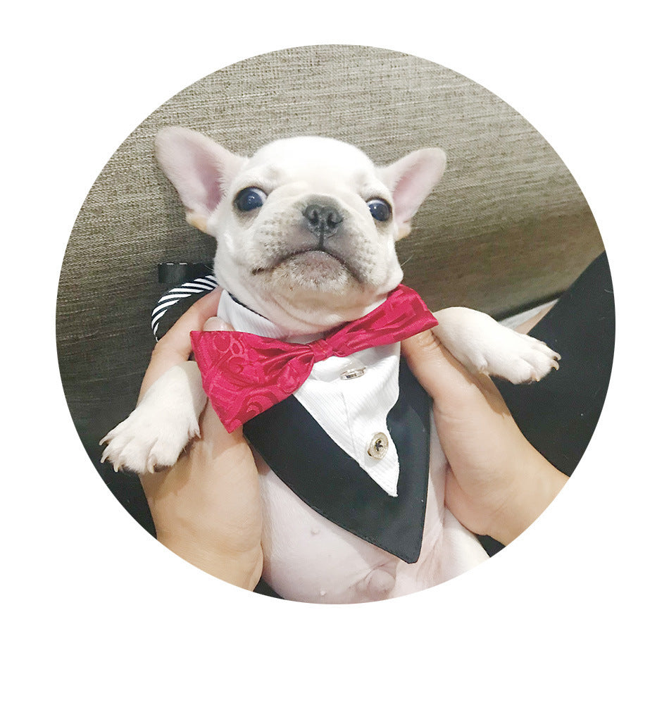 Dog Triangle Bandana