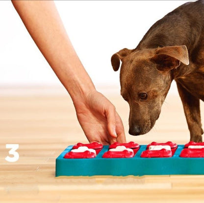 Dog toy