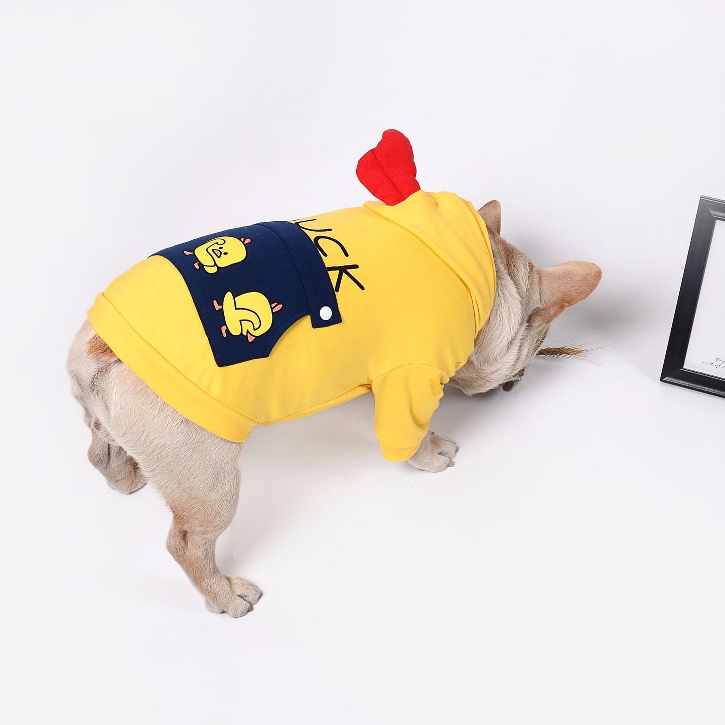 dog clothes