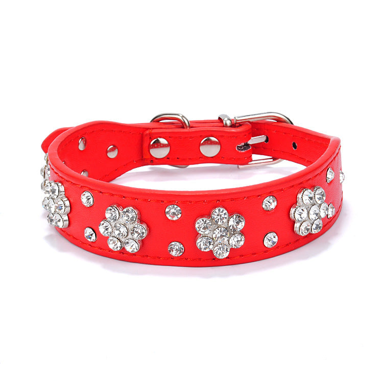 Dog Collar