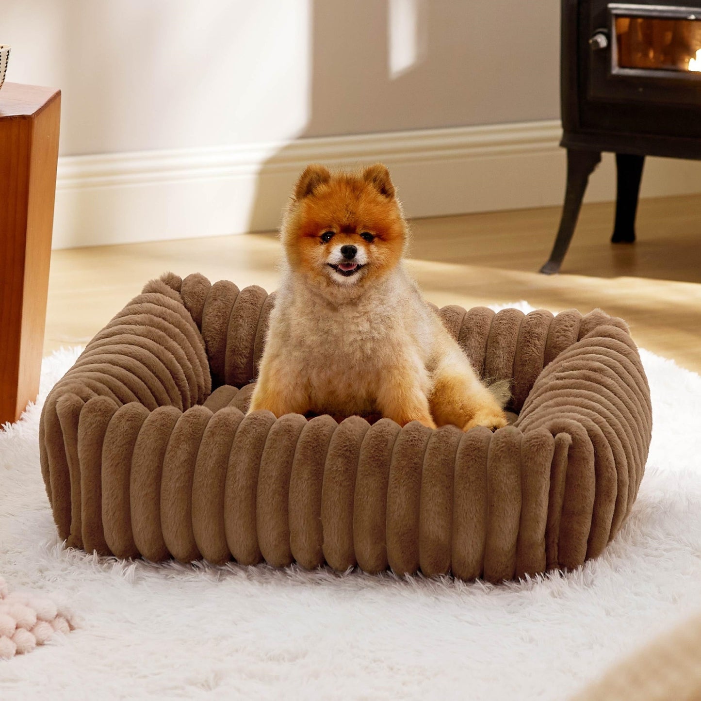Dog Bed