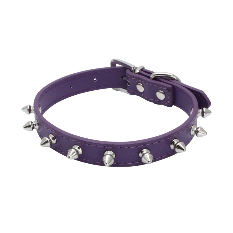 Dog Leash